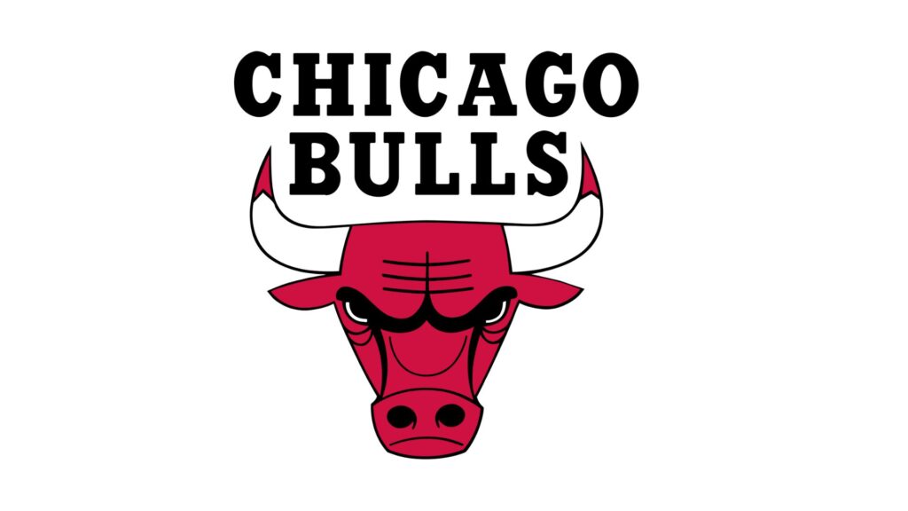The Perfect 5 Car Gadgets for Chicago Bulls Fans: Decorate Your Ride with Style!