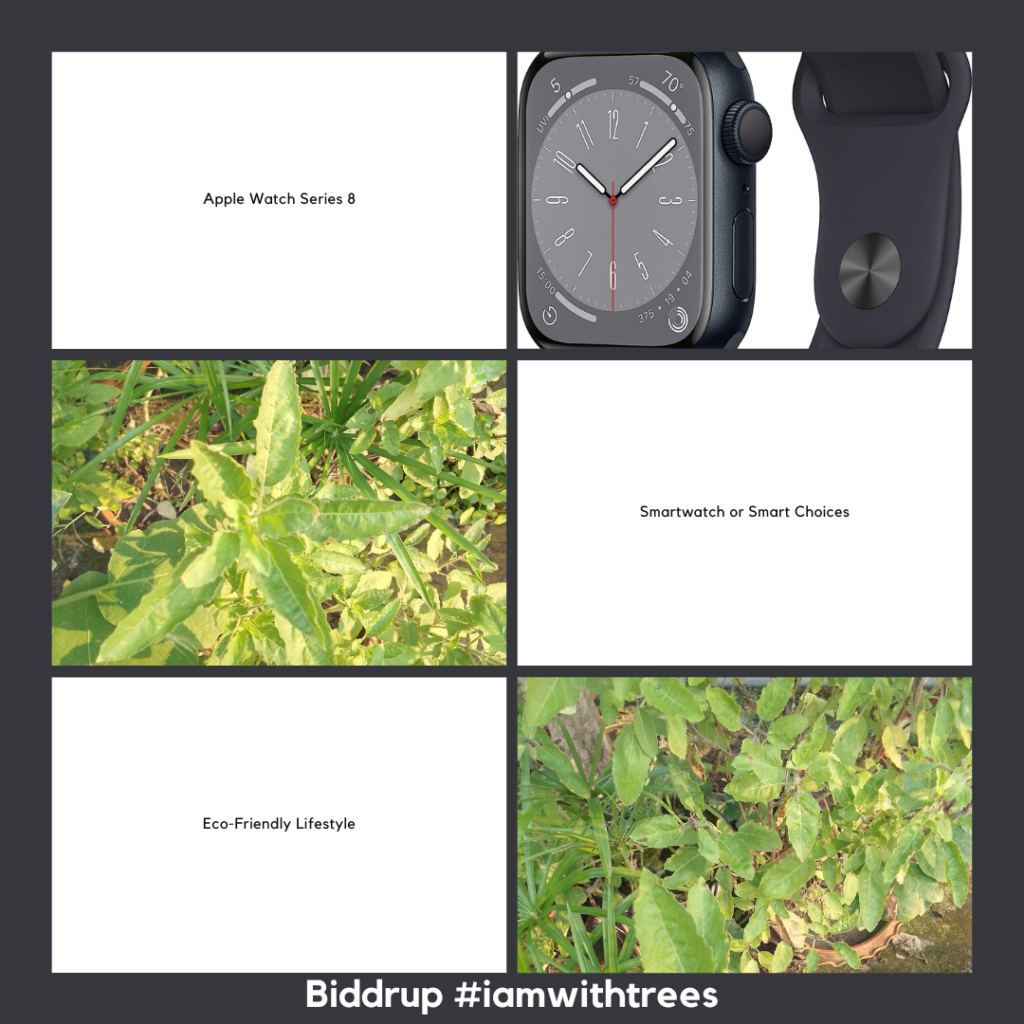 Planting Trees vs. Buying the Apple Watch Series 8- Making the Eco-Conscious Choice Biddrup #iamwithtrees
