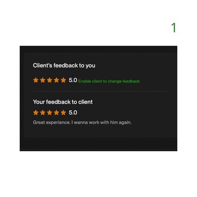 1 Biddrup Mallick Upwork Project Feedback