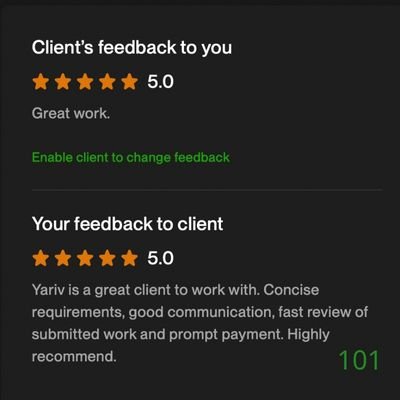 101 Biddrup Mallick Upwork Project Feedback