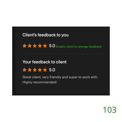 103 Biddrup Mallick Upwork Project Feedback