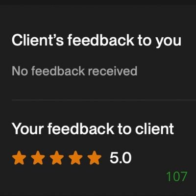 107 Biddrup Mallick Upwork Project Feedback