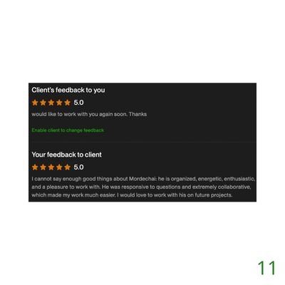 11 Biddrup Mallick Upwork Project Feedback