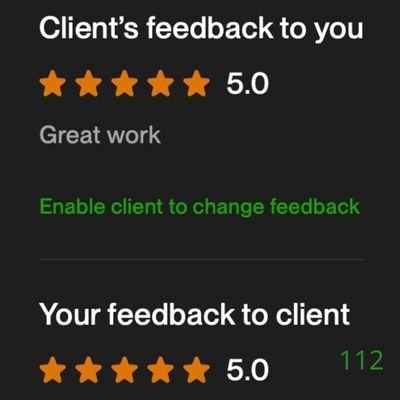 112 Biddrup Mallick Upwork Project Feedback