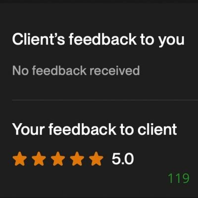119 Biddrup Mallick Upwork Project Feedback