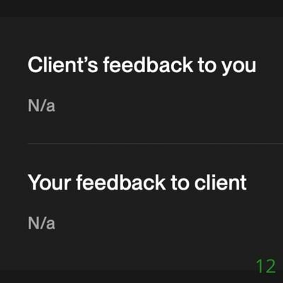 12 Biddrup Mallick Upwork Project Feedback