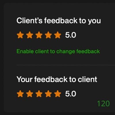 120 Biddrup Mallick Upwork Project Feedback