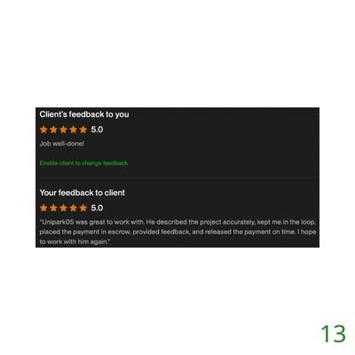 13 Biddrup Mallick Upwork Project Feedback