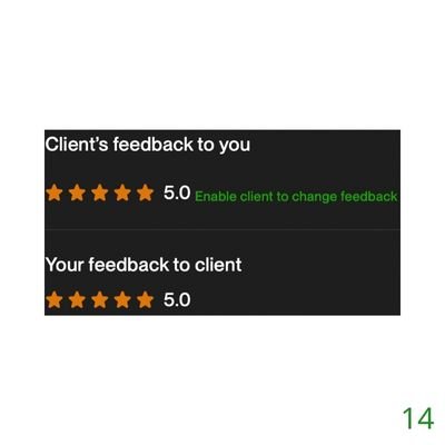 14 Biddrup Mallick Upwork Project Feedback