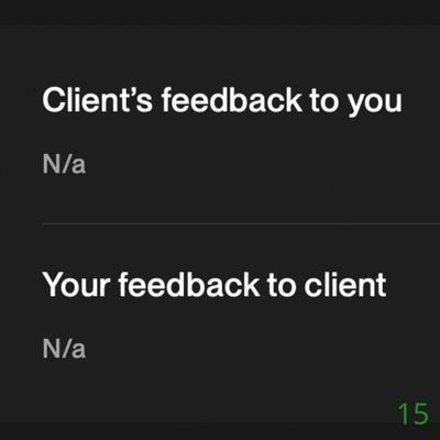 15 Biddrup Mallick Upwork Project Feedback