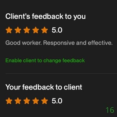 16 Biddrup Mallick Upwork Project Feedback