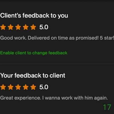 17 Biddrup Mallick Upwork Project Feedback