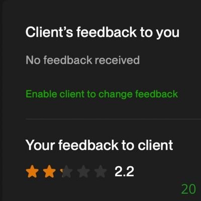 20 Biddrup Mallick Upwork Project Feedback