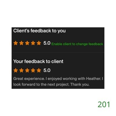 201 Biddrup Mallick Upwork Project Feedback