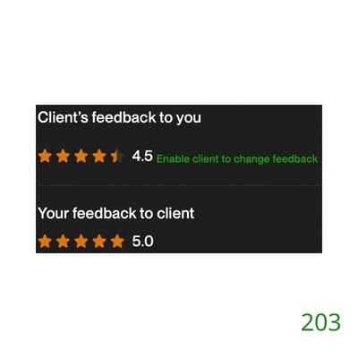 203 Biddrup Mallick Upwork Project Feedback