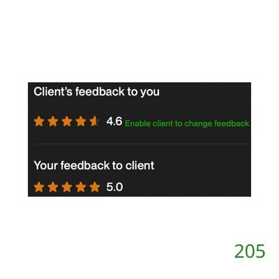 205 Biddrup Mallick Upwork Project Feedback