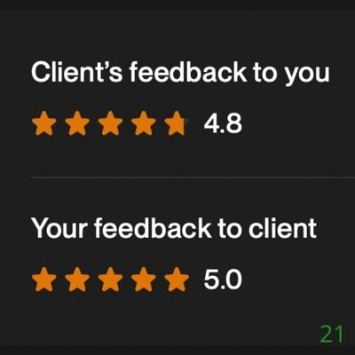 21 Biddrup Mallick Upwork Project Feedback