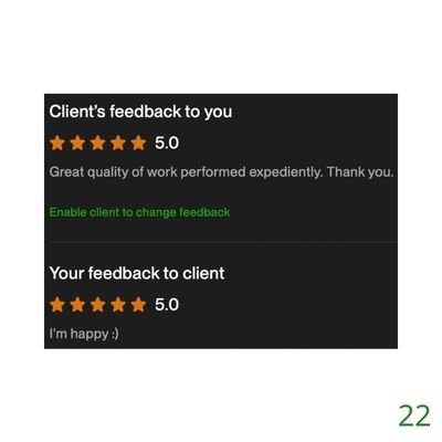 22 Biddrup Mallick Upwork Project Feedback