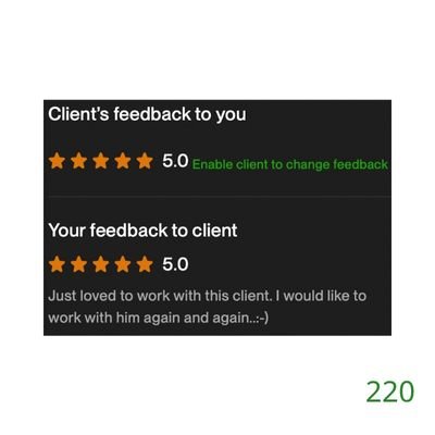220 Biddrup Mallick Upwork Project Feedback