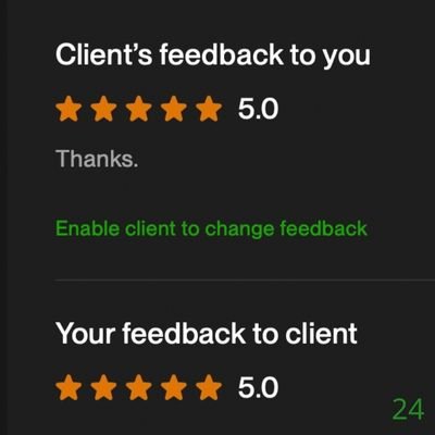 24 Biddrup Mallick Upwork Project Feedback