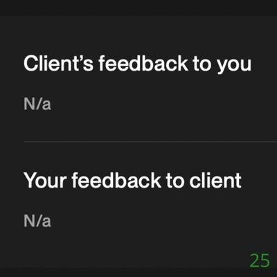 25 Biddrup Mallick Upwork Project Feedback