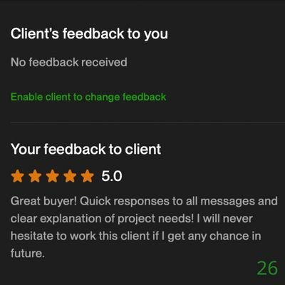 26 Biddrup Mallick Upwork Project Feedback