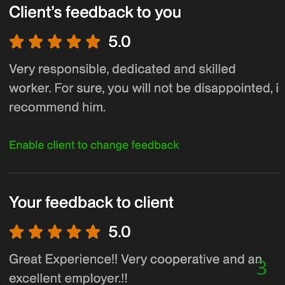 3 Biddrup Mallick Upwork Project Feedback