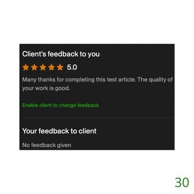30 Biddrup Mallick Upwork Project Feedback