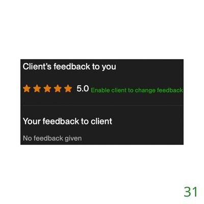 31 Biddrup Mallick Upwork Project Feedback