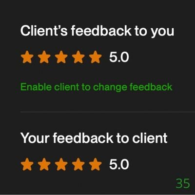 35 Biddrup Mallick Upwork Project Feedback