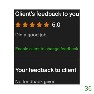 36 Biddrup Mallick Upwork Project Feedback