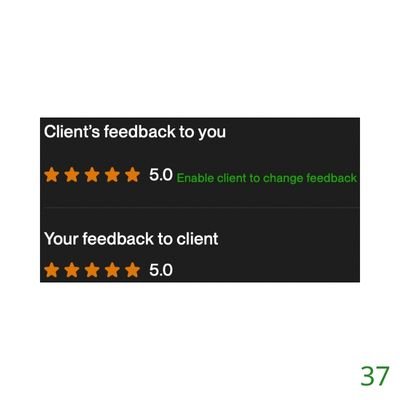 37 Biddrup Mallick Upwork Project Feedback