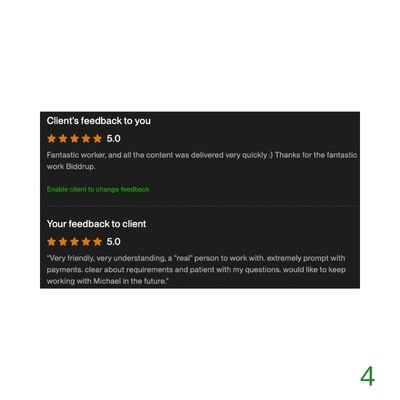 4 Biddrup Mallick Upwork Project Feedback