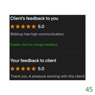 45 Biddrup Mallick Upwork Project Feedback