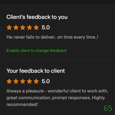 65 Biddrup Mallick Upwork Project Feedback
