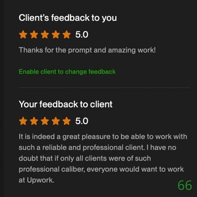66 Biddrup Mallick Upwork Project Feedback