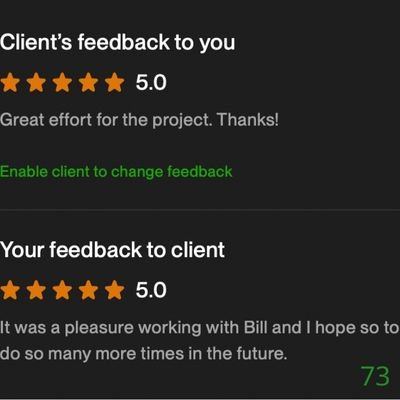 73 Biddrup Mallick Upwork Project Feedback
