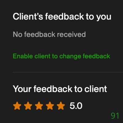 91 Biddrup Mallick Upwork Project Feedback