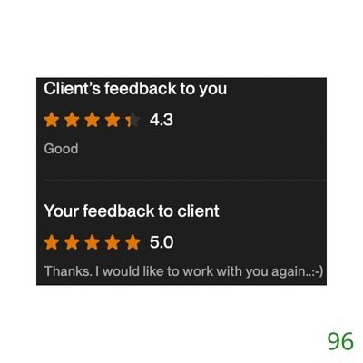 96 Biddrup Mallick Upwork Project Feedback